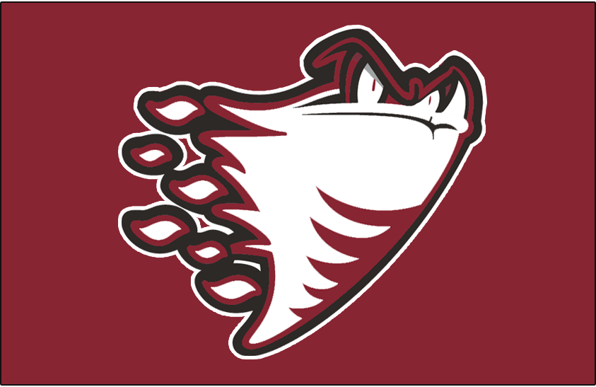 Guelph Storm 2000-2003 Jersey Logo iron on transfers for clothing